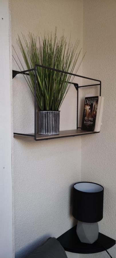 Apartment T2 A Avec Wifi, Vue Sur Montagne *