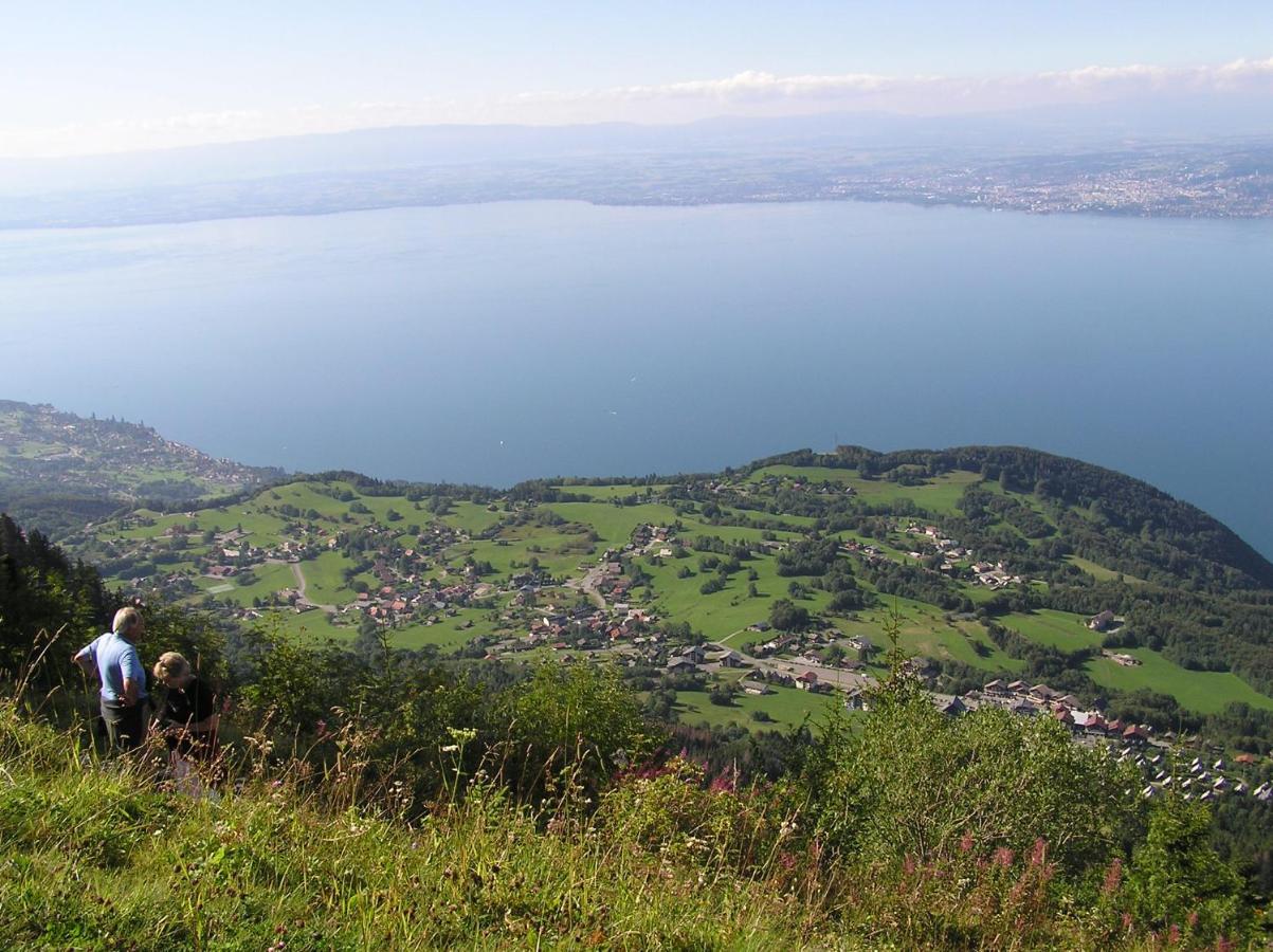 T2 A Avec Wifi, Vue Sur Montagne Apartment